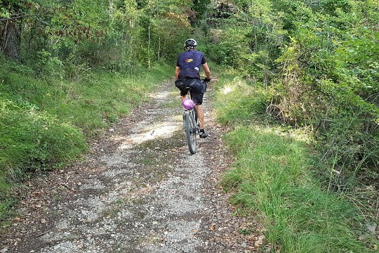 riding a bike in italian countryside