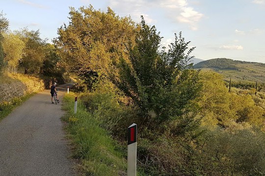 Florence countryside