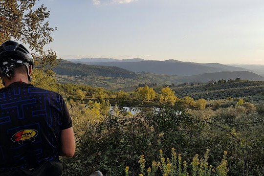 views from the top of a hill