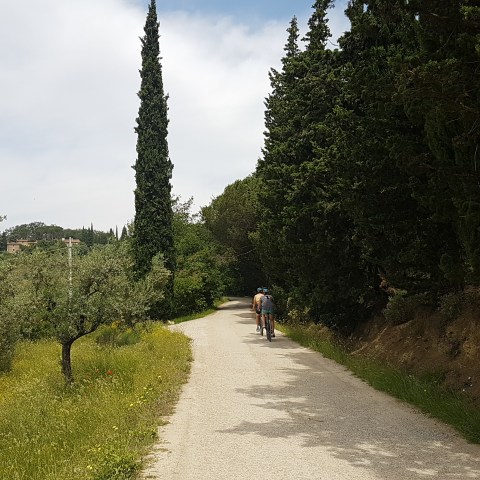 italian countryside landscape