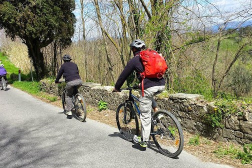 Bike group tour riding in Chianti