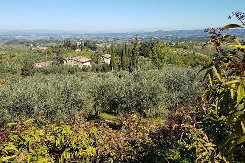 Chianti panoramic views